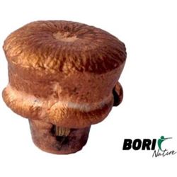 Munición LAPUA cal. 300 Win Mag NATURALIS 170gr